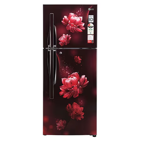 LG 240 L Smart Inverter Double Door Refrigerator 